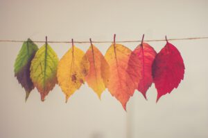 Bunte Herbstlätter an einer Leine