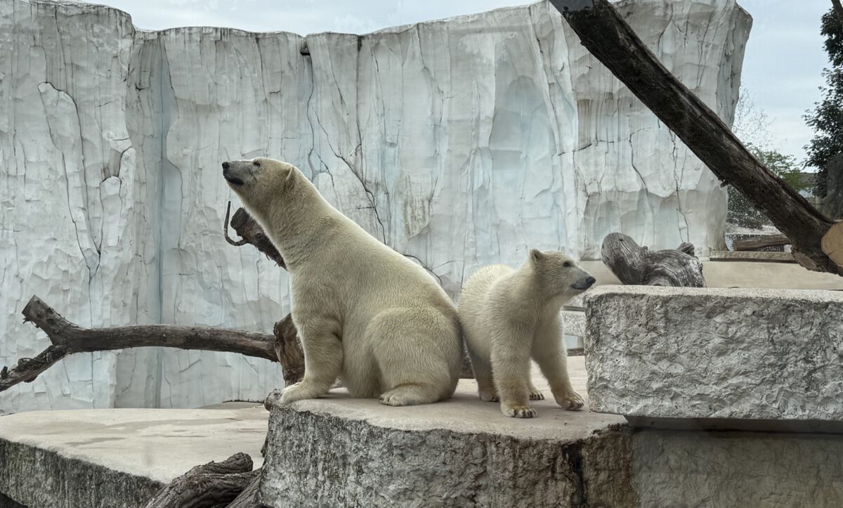 Klassenausflug Karlsruher Zoo